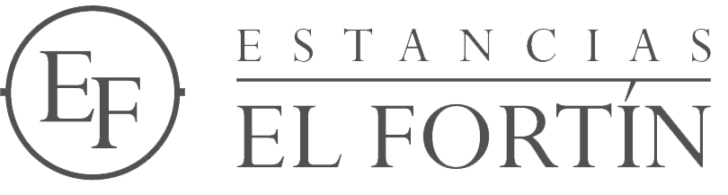 LOGO WEBSITE SIN FONDO2